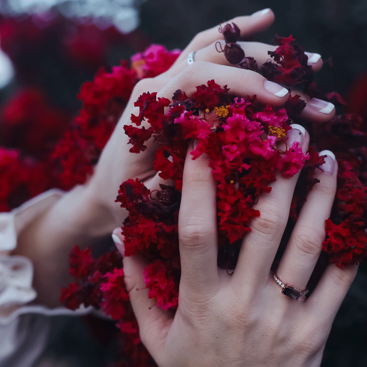 close up of model hands against red flowers wearing cacoxenite super seven rose gold ring flanked by diamonds