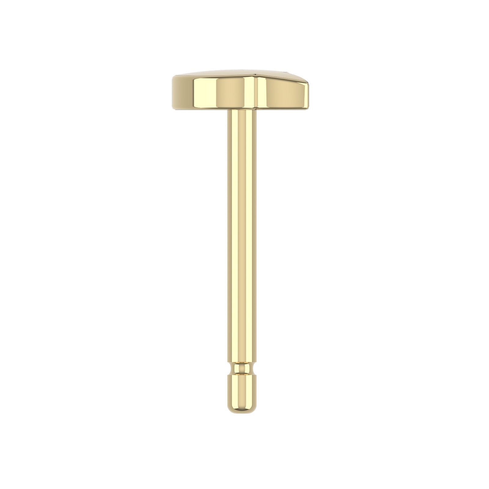 14K Yellow Gold Cat Stud Earrings